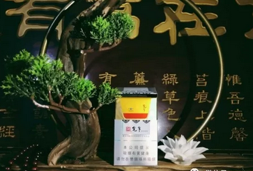 8元椰王香烟批发